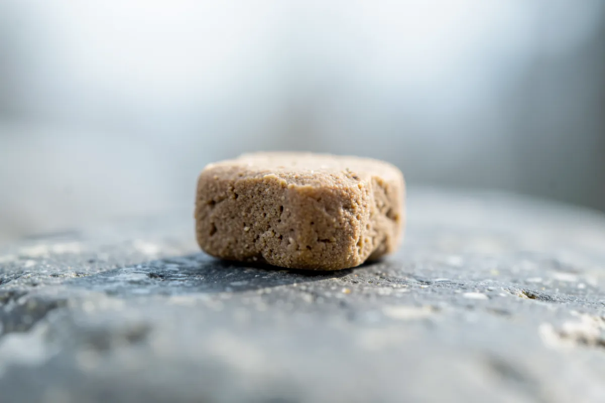 Gros plan macro sur une croquette pour petit chien.