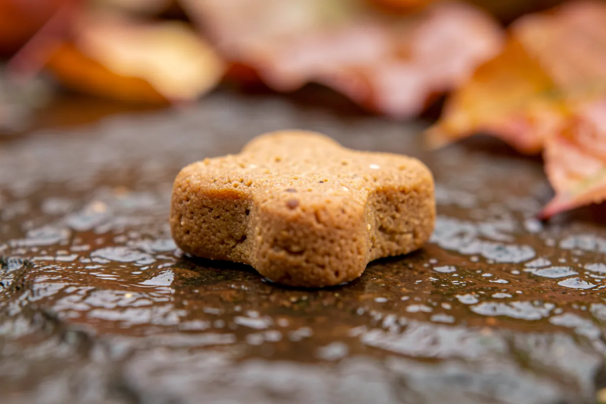 Gros plan macro sur une croquette pour chien à la texture adaptée à sa mâchoire.