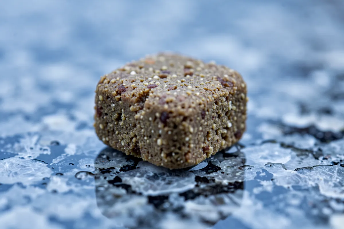 Gros plan macro sur une croquette pour chien posée sur une pierre humide.
