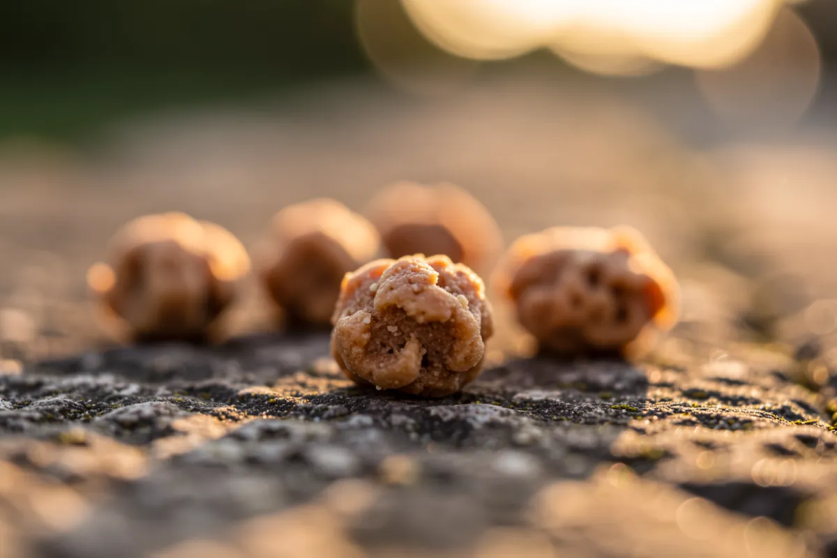 Petites friandises adaptées à l'éducation du chiot posées sur une pierre.